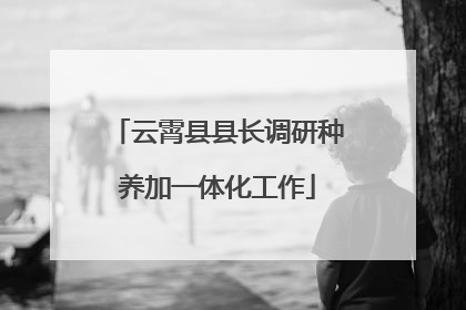 云霄县县长调研种养加一体化工作